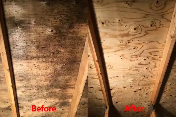 water damage restoration service Ponchatoula